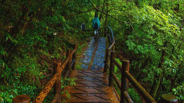 Yakushima, Kagoshima Prefecture