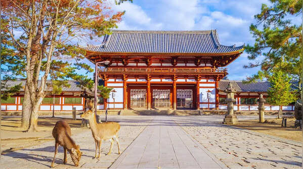 Planning a trip to Japan? Don’t miss these 5 beautiful islands