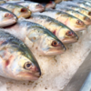 Not a fan of fish? Don’t worry