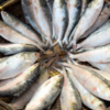 A few fishy rules to remember