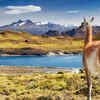 Torres del Paine National Park, Chile