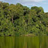 Manú National Park, Peru