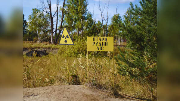 Dark Tourism site