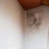 Mold and moisture