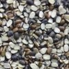 Curd and urad dal 