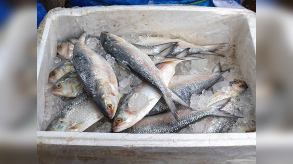 Fish and curd