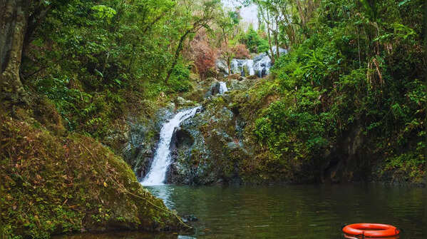 Argyle Waterfall (Tobago)