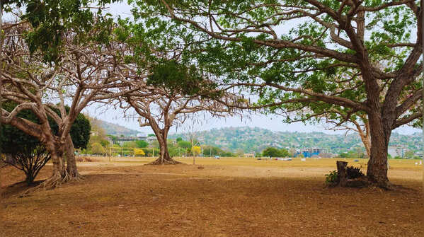 Queen’s Park Savannah (Trinidad)