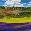 Pitch Lake (Trinidad)
