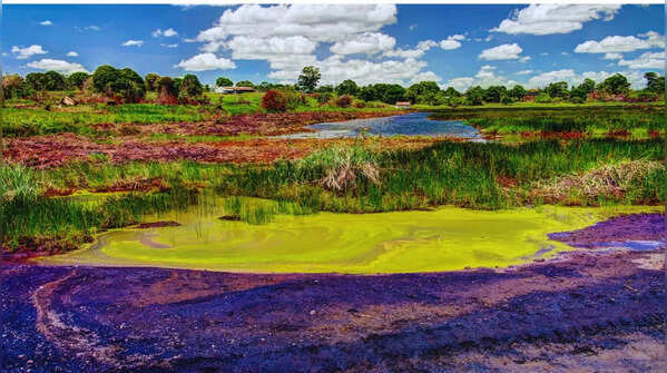 Pitch Lake (Trinidad)