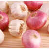 Garlic and Onions