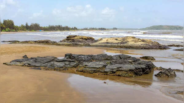 Morjim Beach (North Goa)