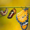 "Change is hard at first, messy in the middle, and gorgeous at the end."- Robin Sharma