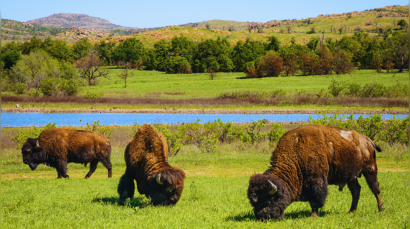 Wichita Mountains Wildlife Refuge, Oklahoma