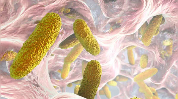 Why are UTI reinfections common?