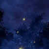 World Glowing Forests: 8 naturally glowing forests around the