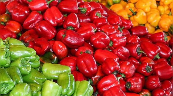 Capsicum/ Bell Peppers