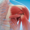 Muscles feel relaxed, not crampy or twitchy
