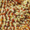 Stroll through Mullick Ghat Flower Market
