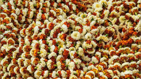 Stroll through Mullick Ghat Flower Market