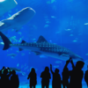 Moscow Oceanarium, Russia (25 million liters)