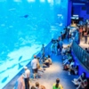 S.E.A. Aquarium, Singapore (45.2 million liters)