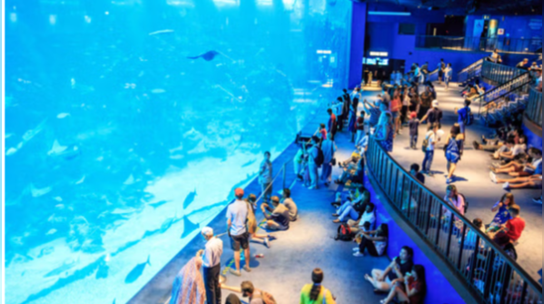 S.E.A. Aquarium, Singapore (45.2 million liters)