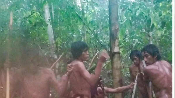 Massaco (The Amazon - Brazil)