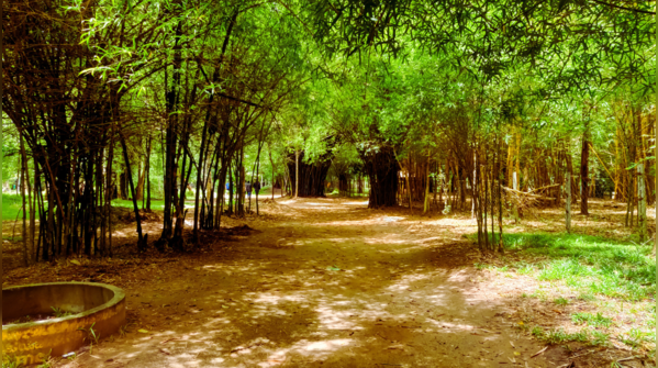 Nisargadhama