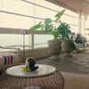 ​Peaceful deck that feels like an ‘Amazonian jungle’