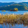 Kawaguchi Lake’s Seasonal Floating Islands – Japan