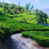 Kalpetta, Kerala