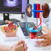 The role of sleep in kidney health