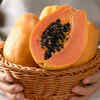 Papaya