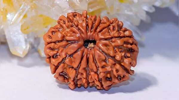 Ekadash Mukhi (11 Mukhi) Rudraksha – Symbol of inner strength