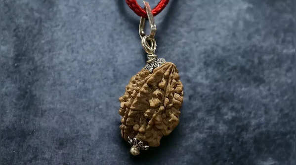 Do Mukhi (2 Mukhi) Rudraksha – Symbol of divine union