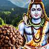 ​The divine origins of Rudraksha