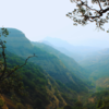  Instead of Darjeeling, try Chatakpur (West Bengal)