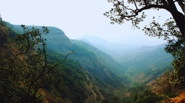 Instead of Darjeeling, try Chatakpur (West Bengal)