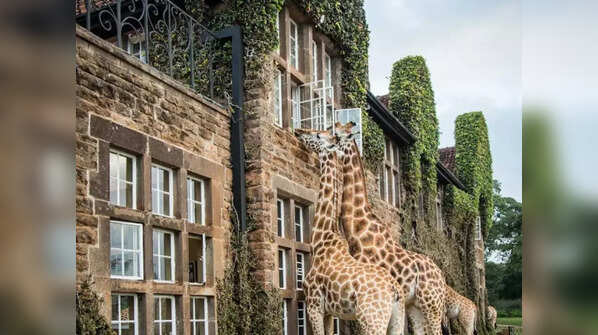 Giraffe Manor – Nairobi, Kenya