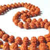 ​Enhances wisdom, learning, and intellectual growth