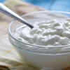 How to keep curd fresh 