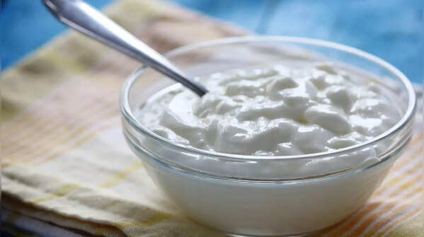 How to keep curd fresh