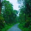 Coonoor