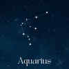 ​HONOURABLE MENTION: AQUARIUS (January 20 - February 18): The visionary rebel