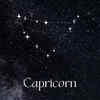 ​CAPRICORN (December 22 - January 19): The Strategic Boss