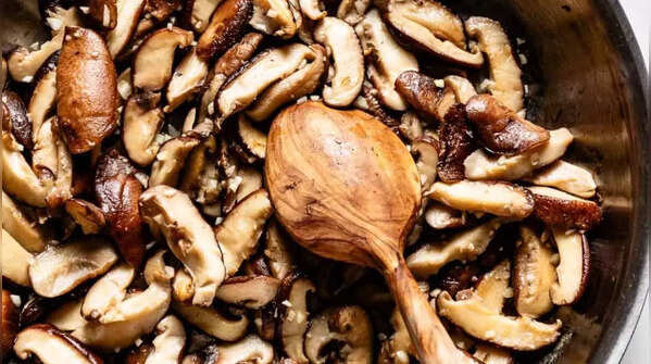 Why mushrooms?