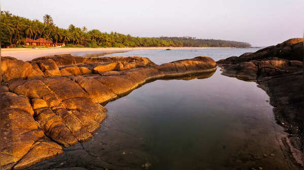 Cherai Beach