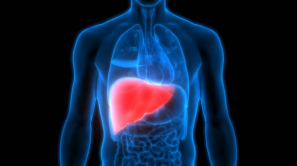 Fatty liver disease doesn’t often announce itself with dramatic symptoms