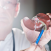 What is the role of the gall bladder?